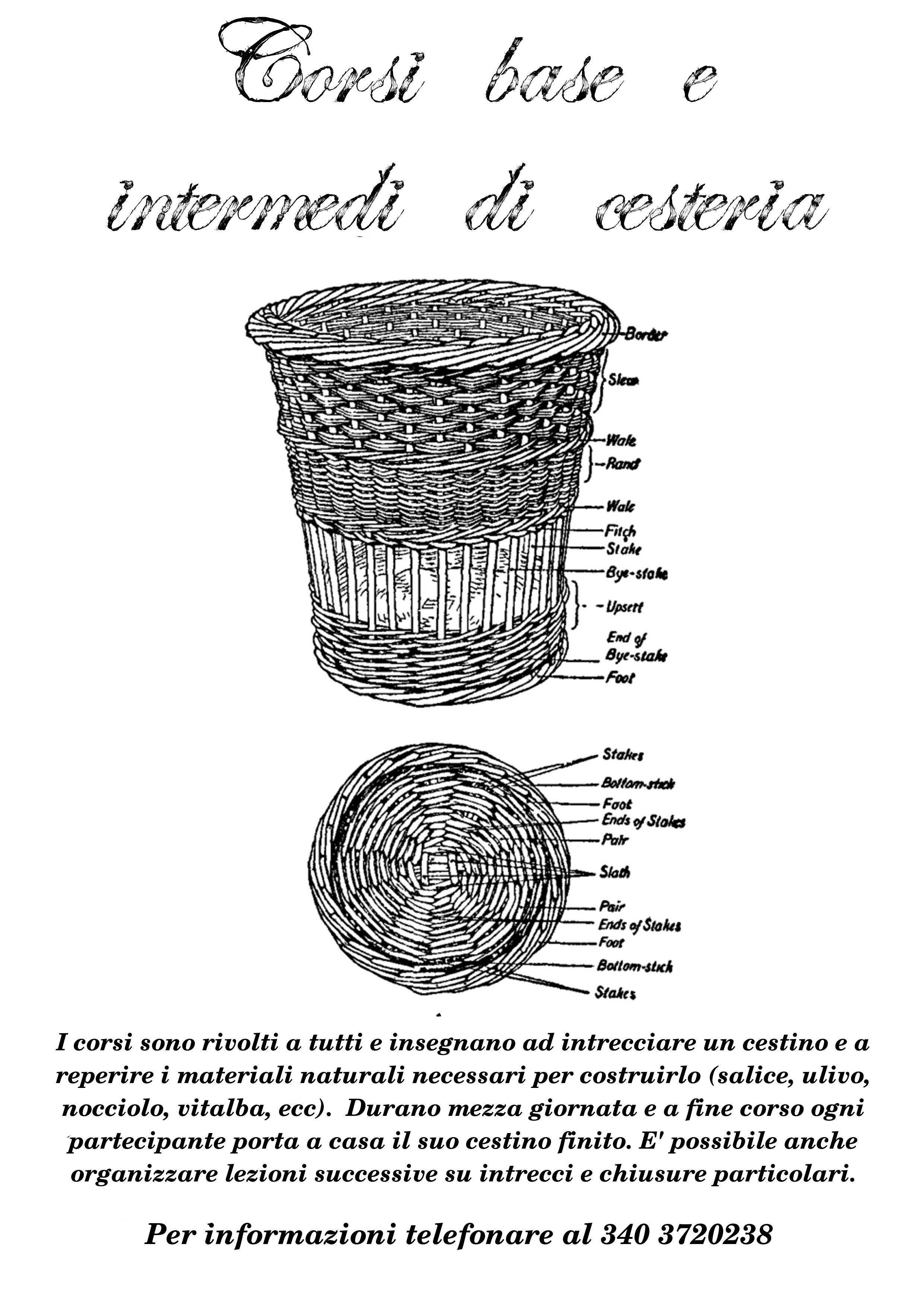 Corsi base e intermedi di cesteria
