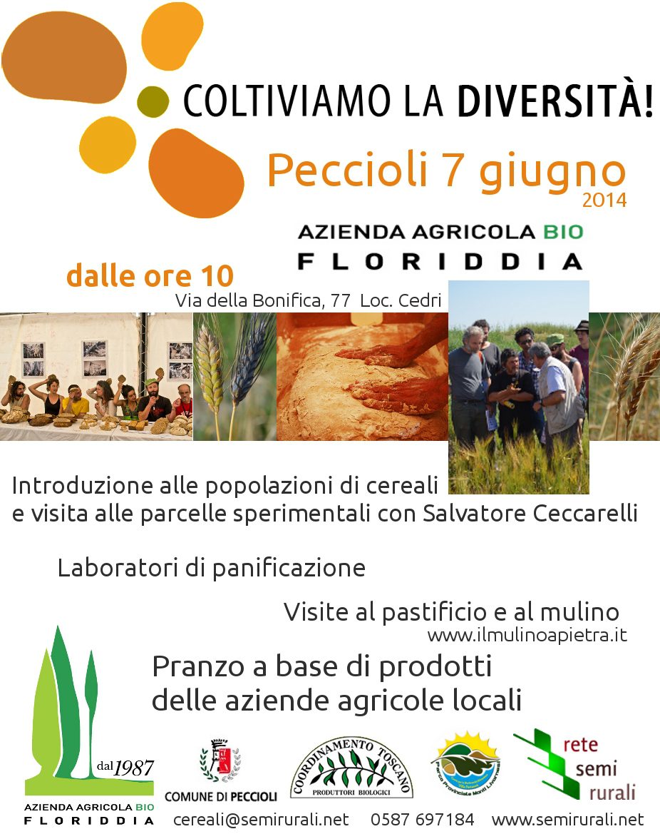 Coltiviamo la Diversità 2014 – Peccioli