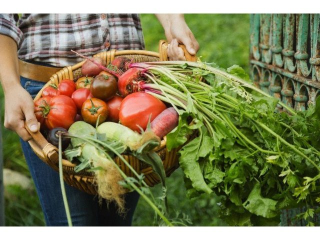 Quando l’agricoltura è contadina?