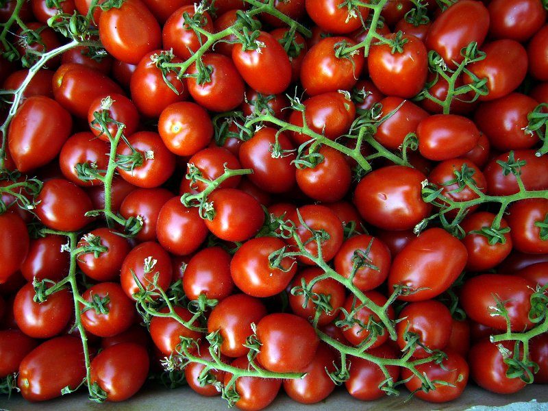 Voci libere in salsa etica