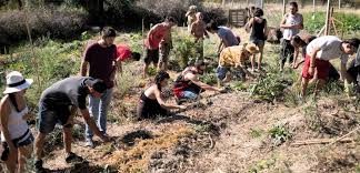 Agricoltura Contadina e Sovranità Alimentare – una risposta dal basso per fermare il riscaldamento globale