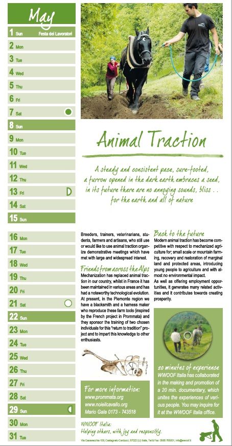 May 2016, Animal traction