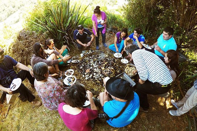Interesting article about WWOOFing in Southern Chile