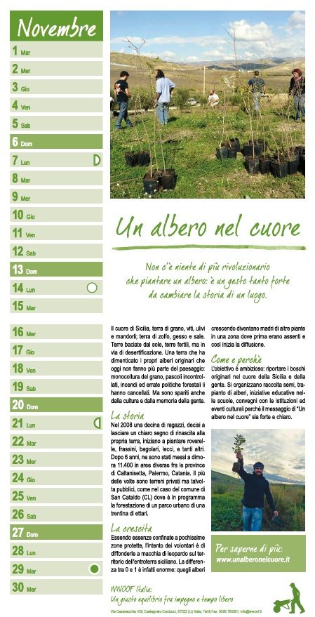 Novembre 2016 Un albero nel cuore