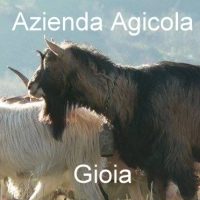 An appeal from Fattoria Gioia, Abruzzo which has once again been hit by exceptional natural events.