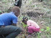 Help WWOOF Togo for an important reforestation project.