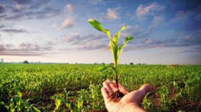 SOCIAL FORUM DEL 14 e 15 OTTOBRE DELLA RETE ALTERNATIVA AL G7 AGRICOLTURA