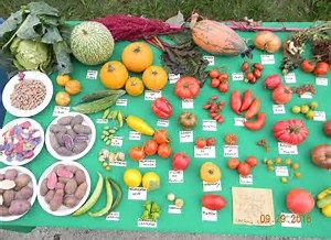 Chiamata a Raccolto, 25 e 26 Novembre a Seren del Grappa (BL)