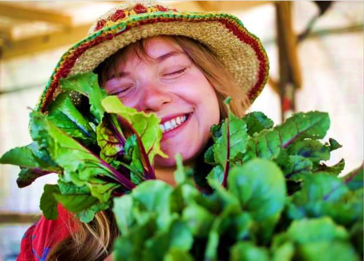 LLOOF – Living and Learning on Organic Farms