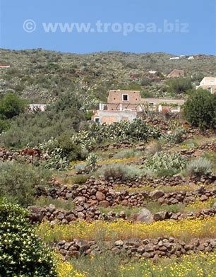 Corso Introduttivo per la Costruzione dei Muri a Secco in Pietra tipici del Territorio Eoliano
