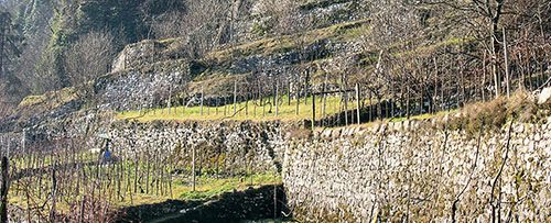 Corso di primo livello sulle tecniche costruttive dei Muri a Secco