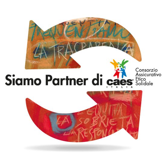 Caes logo partner