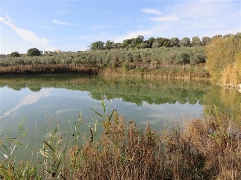 Custody of the ecology of the land – field, theoretical and practical training