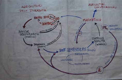 Costruiamo i sistemi sementieri di Rete Semi Rurali