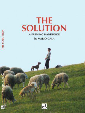 The Solution