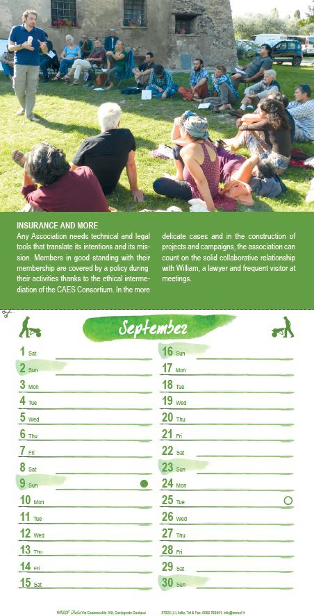 SEPTEMBER – Insurance and more