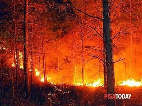 AL VIA LA RACCOLTA FONDI PER LE VITTIME DELL’INCENDIO DEI MONTI PISANI