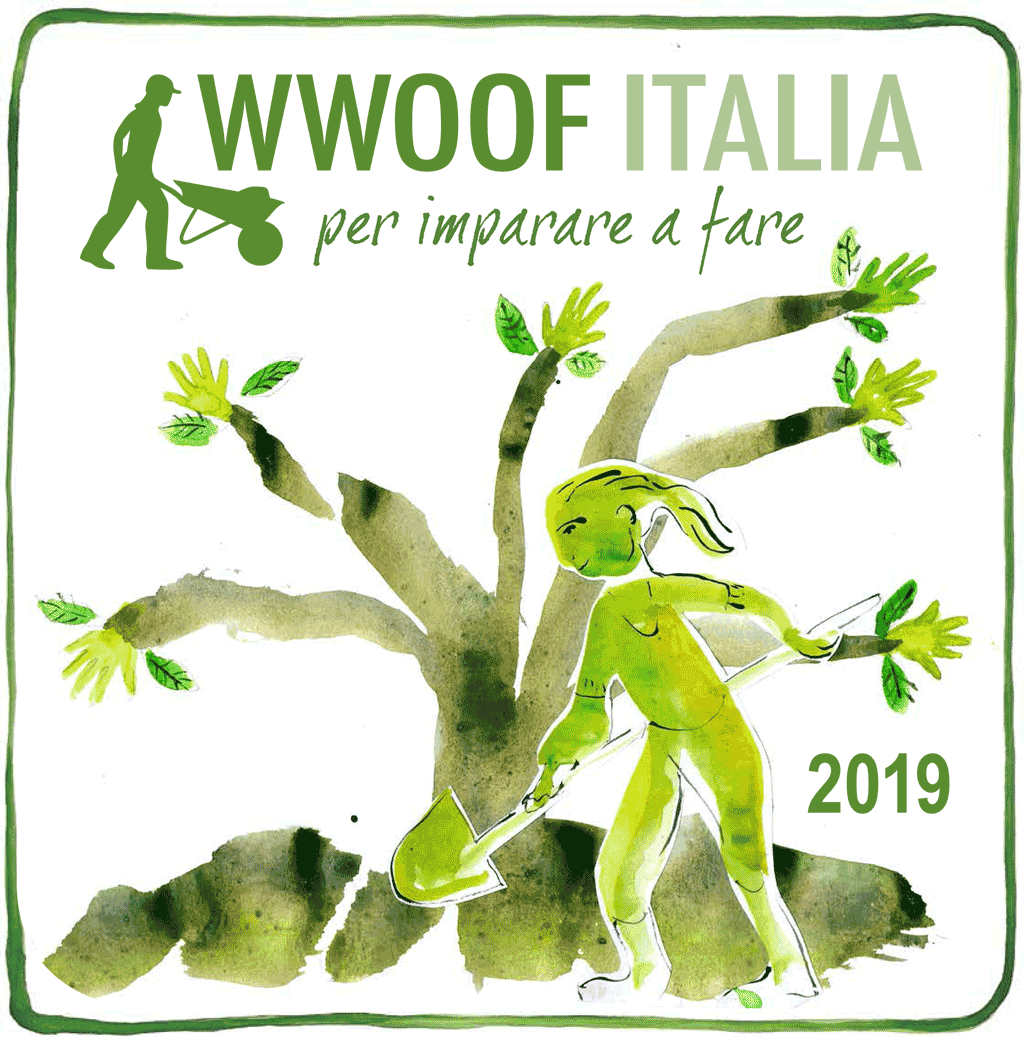 Cover Calendario 2019