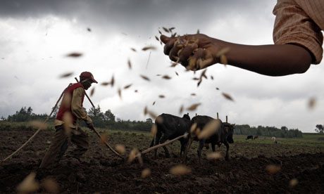 I semi del lavoro contadino – seminario sulle sementi il 23 – 24 Febbraio – Cooperativa agricola Cà Magre a Isola della Scala (VR)