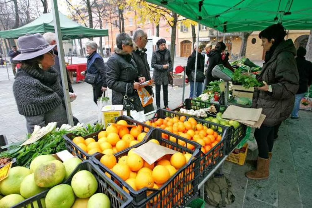 il mercatino della domenica a Rispescia – in occasione della assemblea wwoof 2019