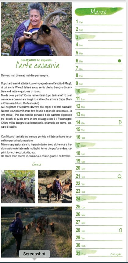 MARZO Con WWOOF ho imparato: l’arte casearia