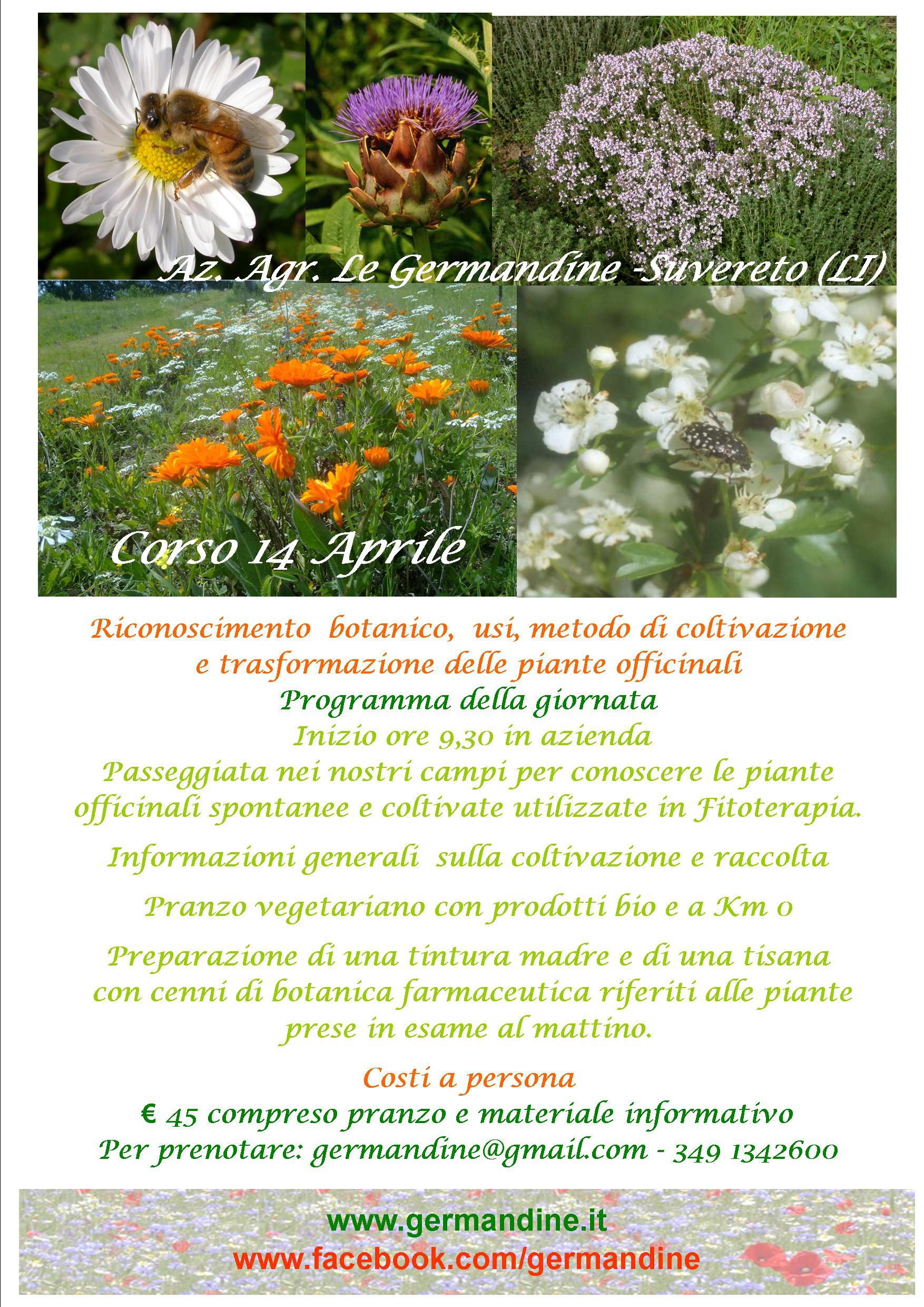 Erborista per un giorno.