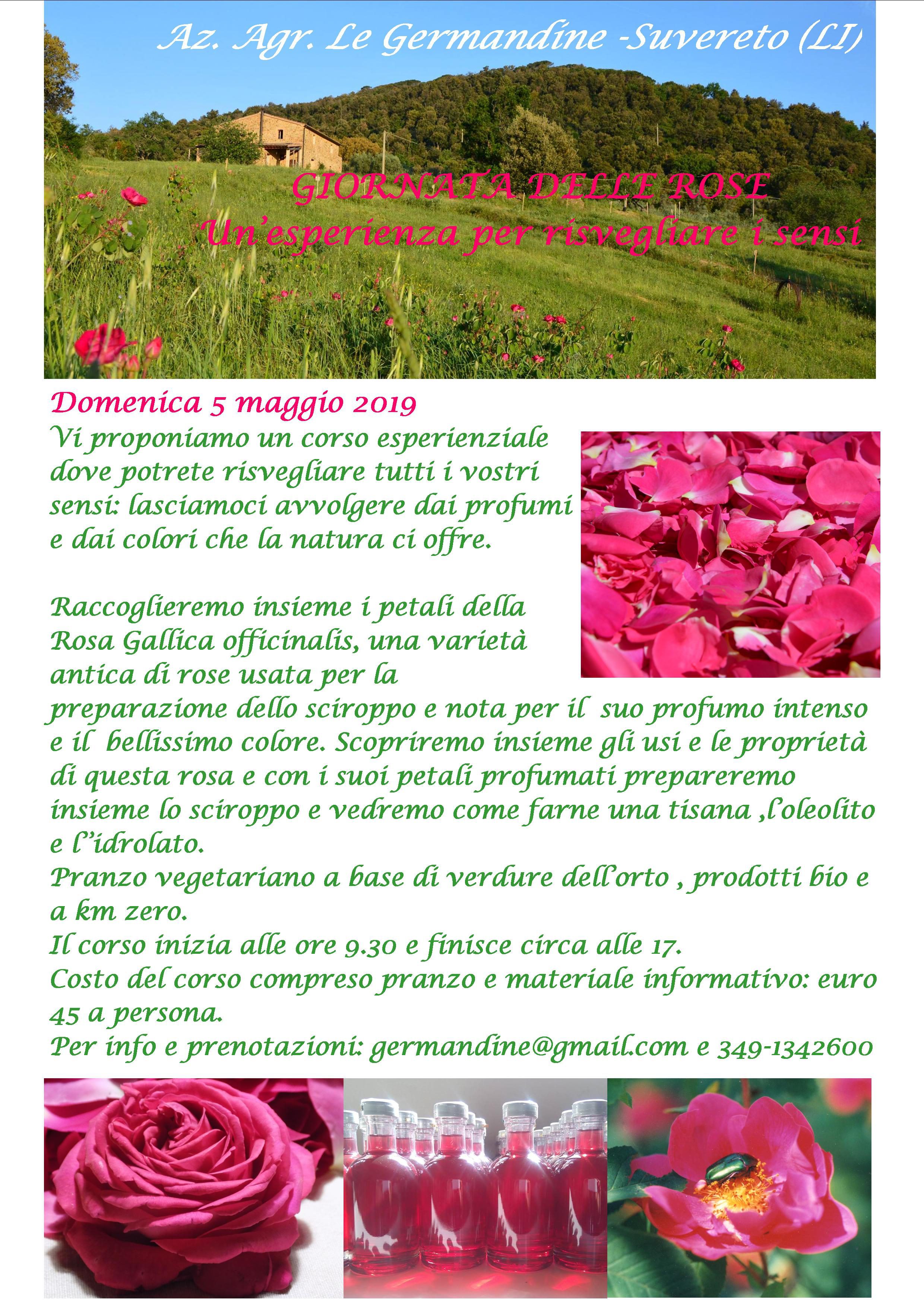 Corso esperienziale sulla raccolta e gli usi della Rosa Gallica officinalis