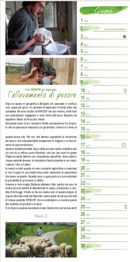 GUIGNO Con WWOOF ho imparato l’allevamento di pecore