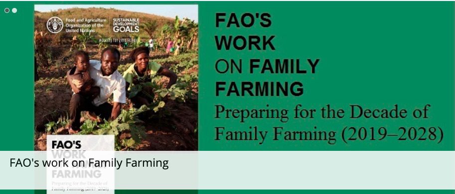 Decennio internazionale dell’agricoltura familiare (Decade for family farming)