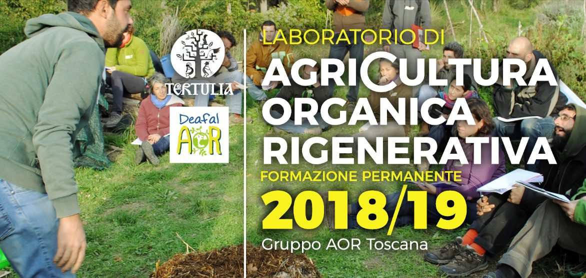 Come conoscere e valutare la salute dei nostri suoli, la microbiologia e la biochimica?