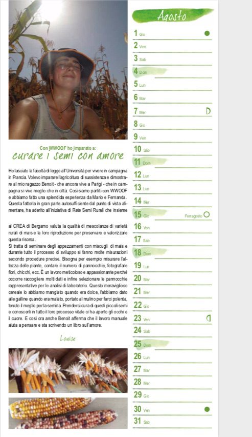 AGOSTO Con WWOOF ho imparato a curare i semi con amore