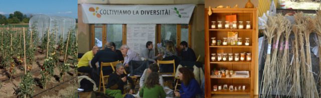 Rete Semi Rurali – incontro annuale a Passignano sul Trasimeno. 24 e 25 Gennaio