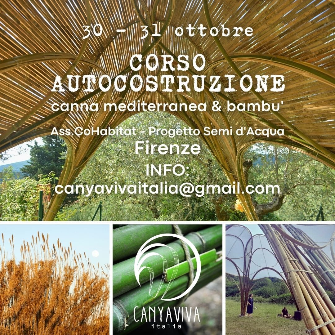 Mediterranean Cane and Bamboo DIY Course