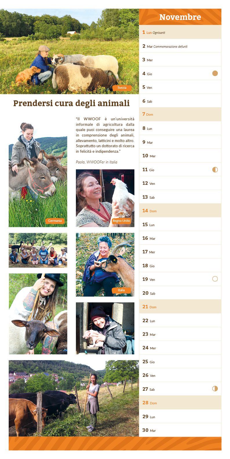 Novembre: la pagina del Calendario è dedicata alla relazione di cura con gli animali