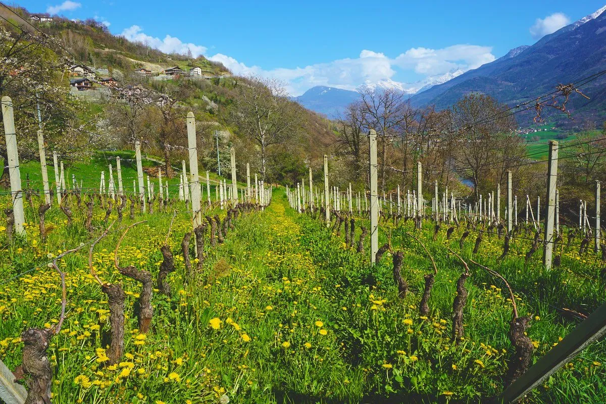 valle d'aosta