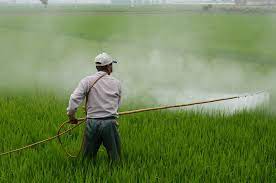 pesticides 2030