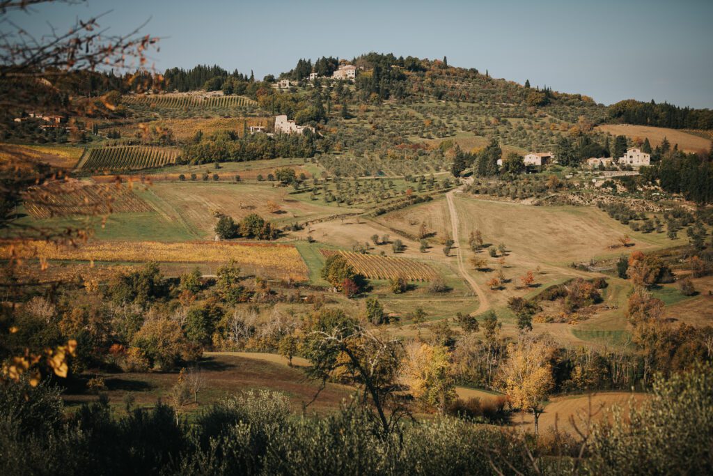 grignanello