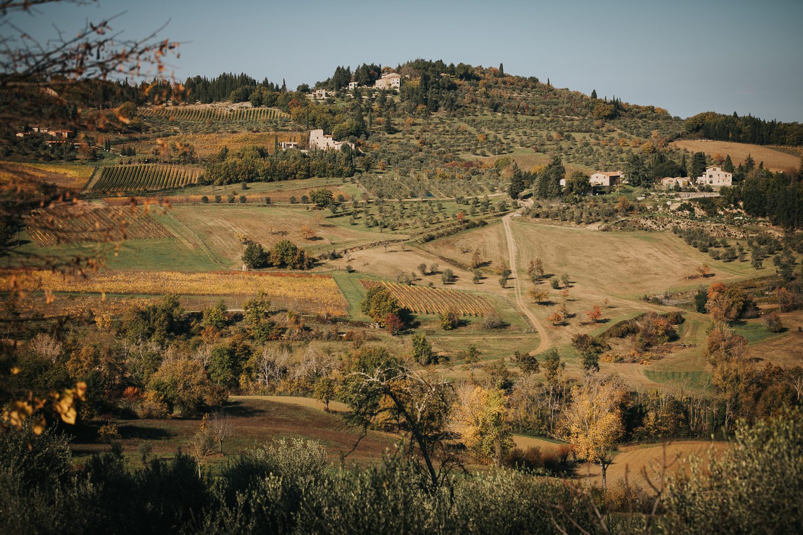 image-06-11-22-02-18 grignanello