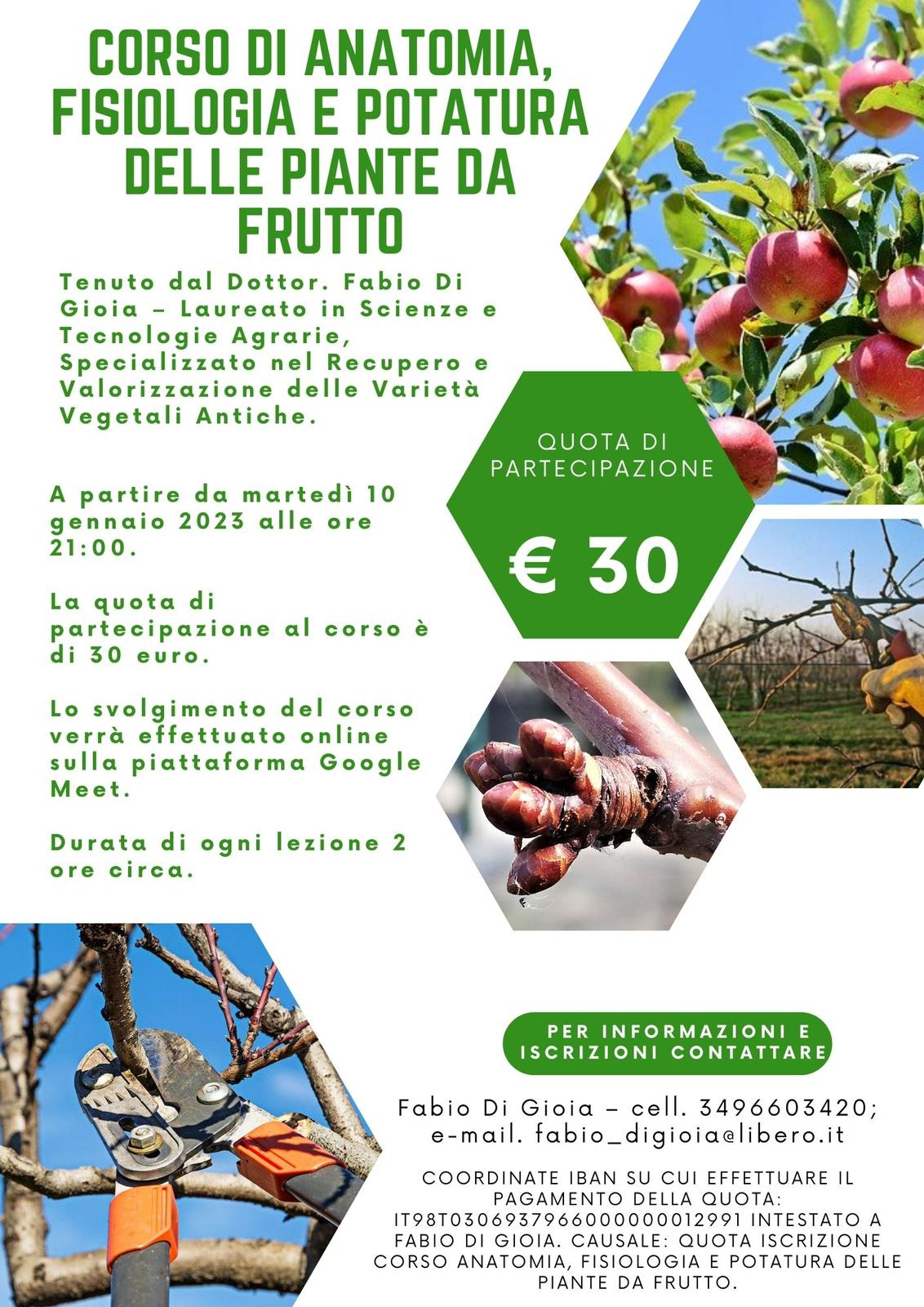 COURSE OF ANATOMY, PHYSIOLOGY AND PRUNING OF FRUIT PLANTS