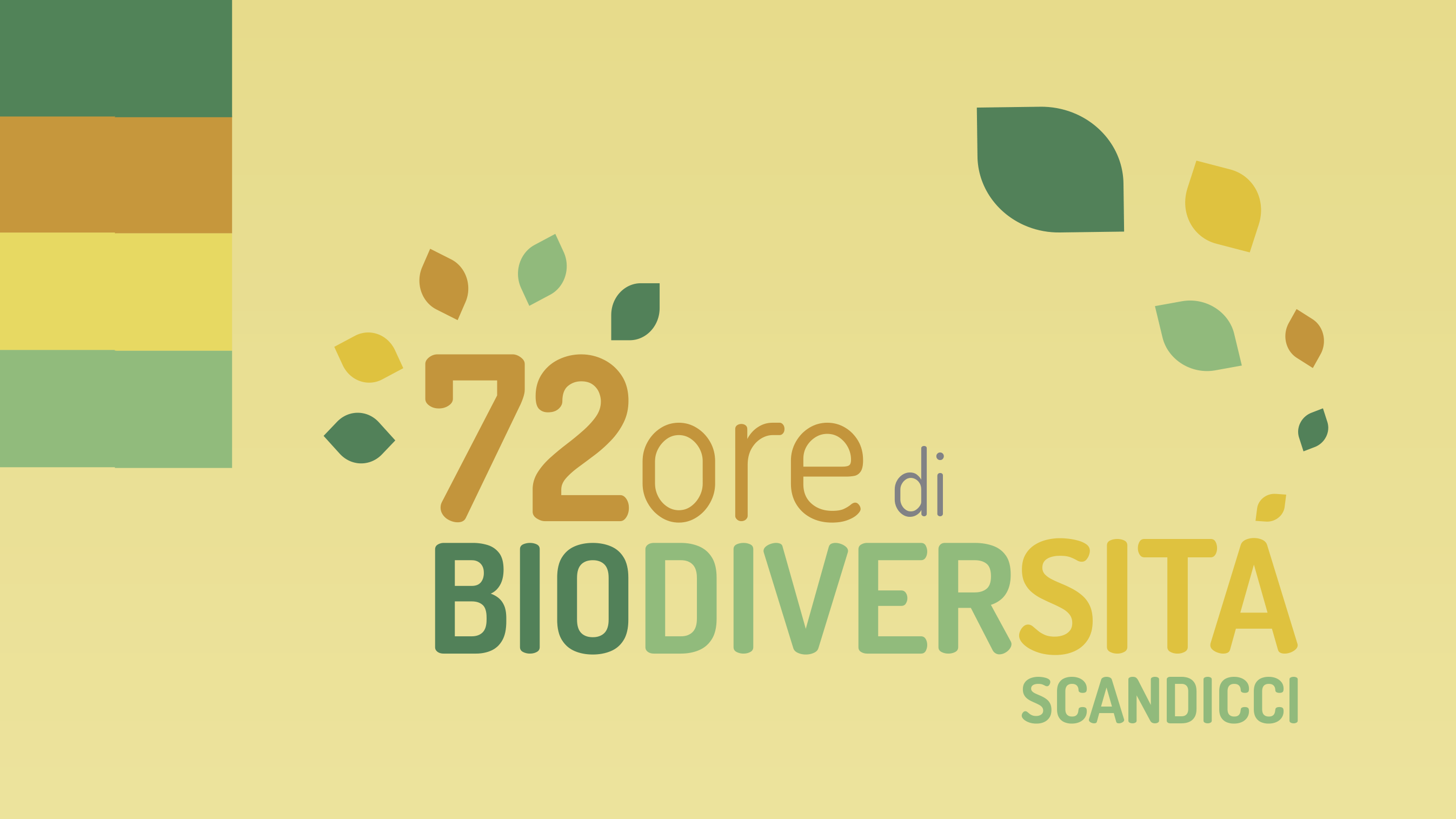 Bring your products to the Great Market of Scandicci (FI)