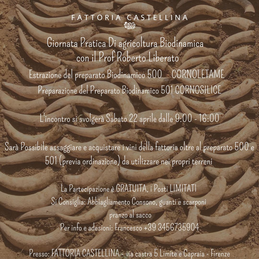 Pratica Biodinamica