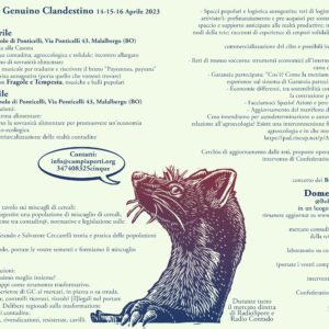 gc programma
