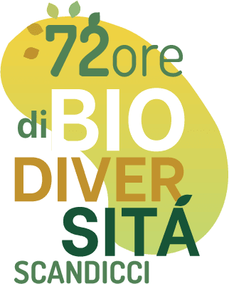 72 ore di Biodiversità a Scandicci (FI) – Il Programma