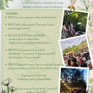 sinergica festival