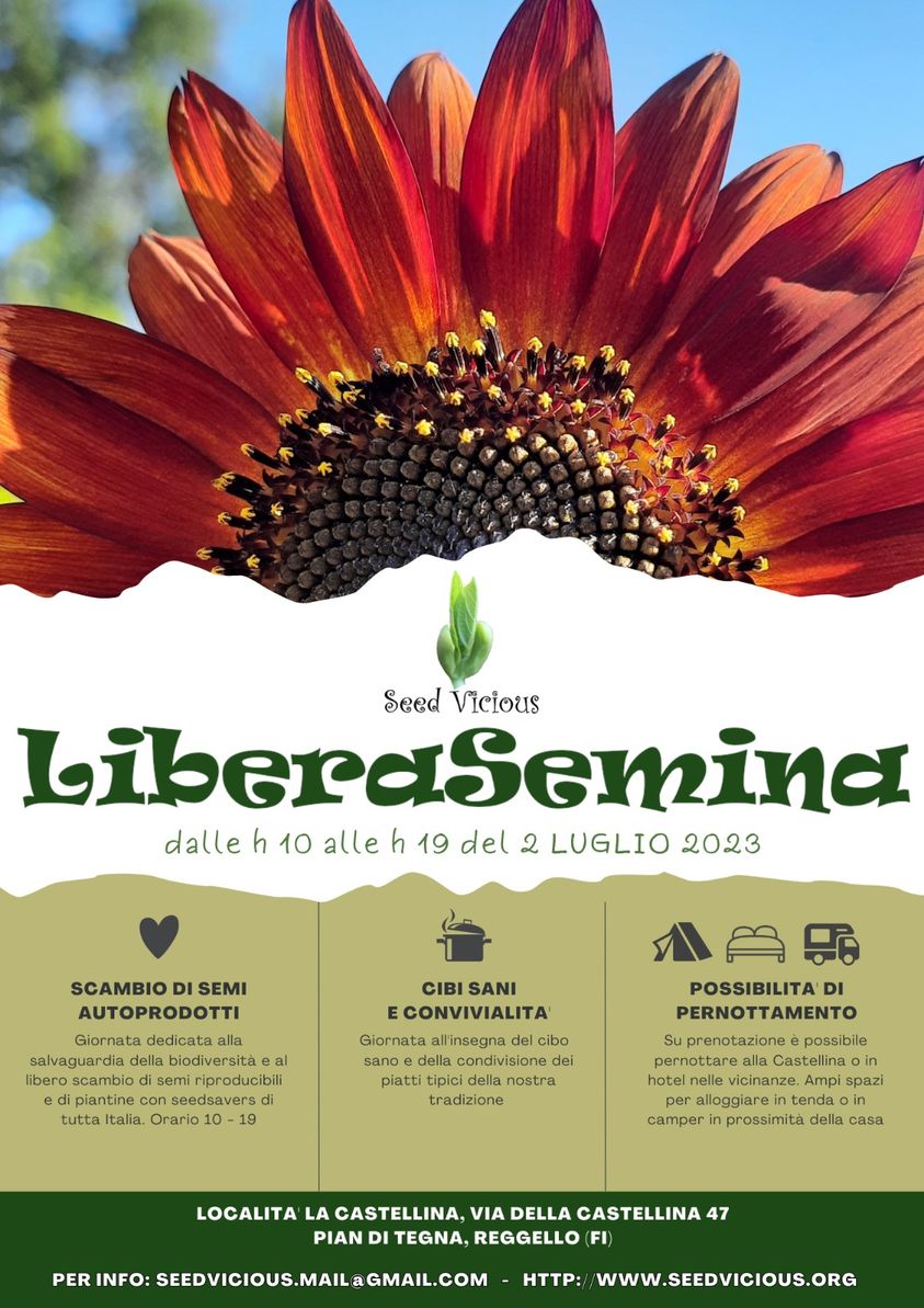 Libera Semina