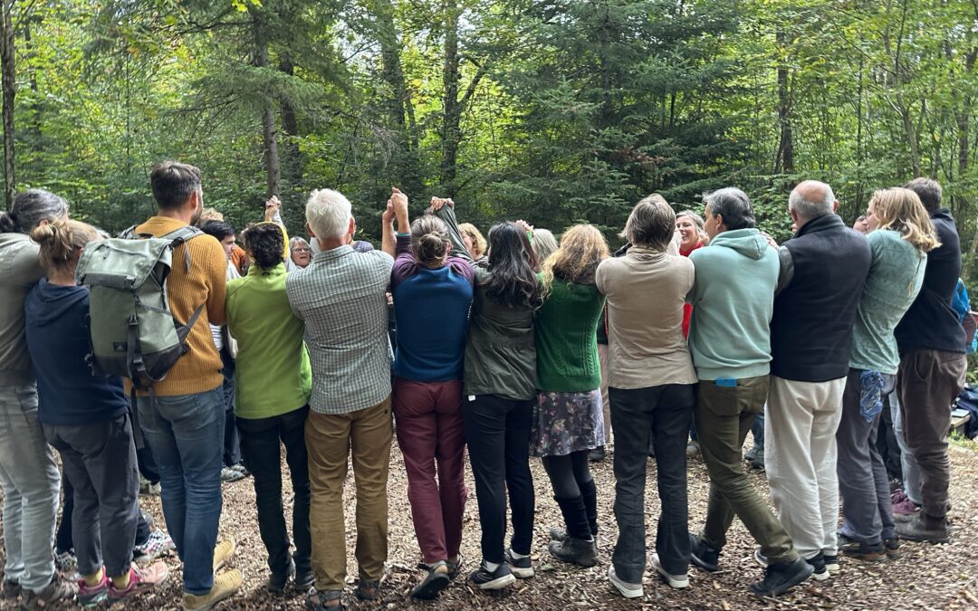 A glimpse at the international WWOOF meeting