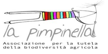 CHIAMATA A RACCOLTO 2023 – semi locali autoprodotti da scambiare o regalare