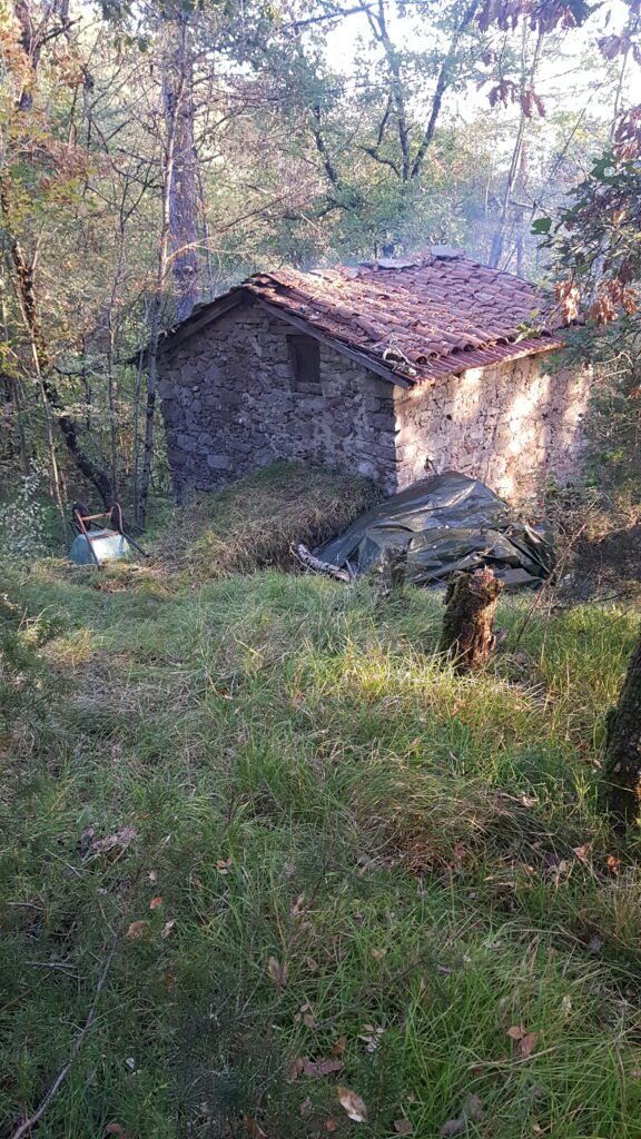 Metato in Bosco