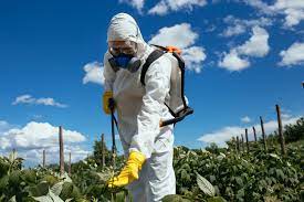 La Commissione europea rinnova l’autorizzazione del glifosato fino al 2033