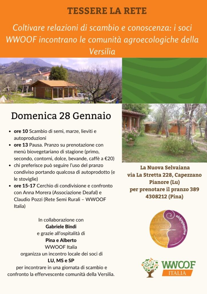 locandina raduno versilia